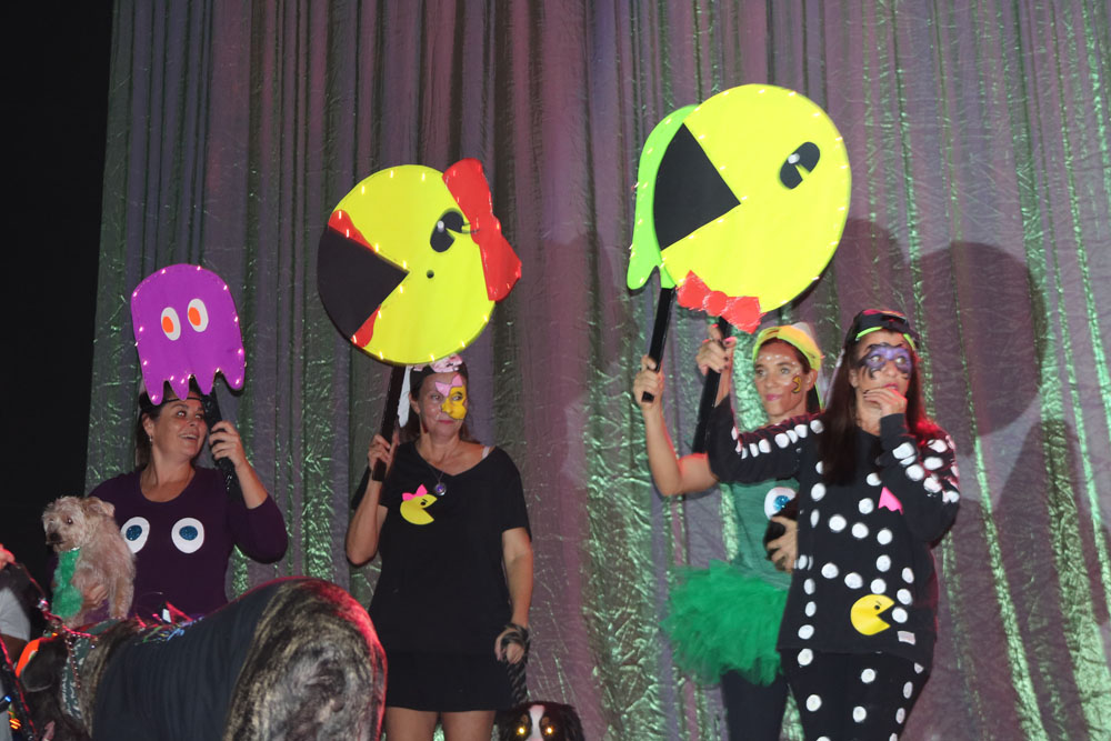 Pet Masquerade 2018 photo - Duval Street, Key West